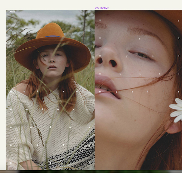 Stories Collective