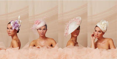 Find Your Dream Dress