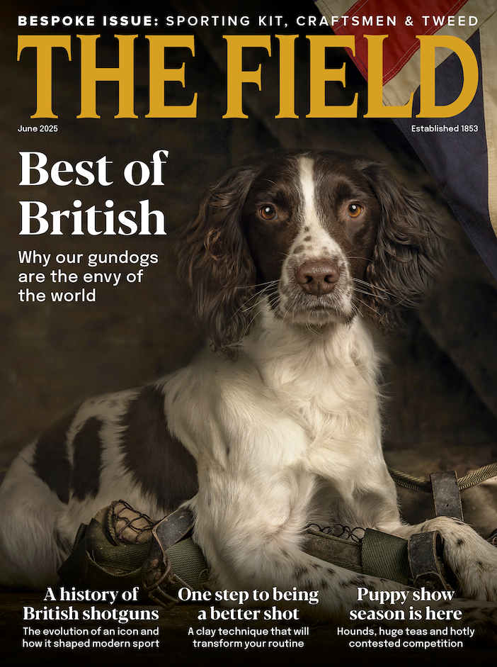 THE FIELD MAGAZINE x MERVE BAYINDIR