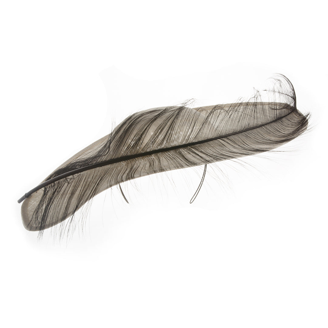 Wide brim asymmetric white hat with a burnt ostrich feather decoration