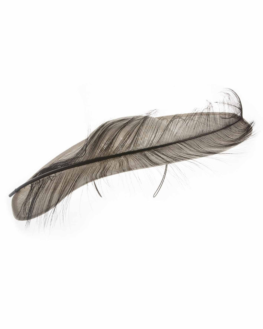 A single long, curved feather in shades of black, with fine wispy strands and a visible central quill, placed against a plain white background. Designed and made by Merve Bayindir Millinery.